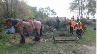 En travaux pratiques à Uchon, des lycéens retrouvent les savoir-faire d’antan. F.Arnould
